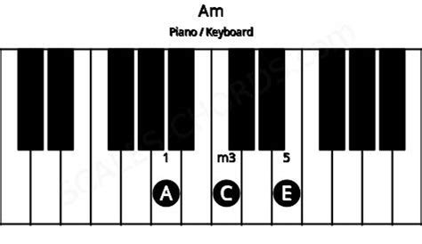 피아노 am 코드